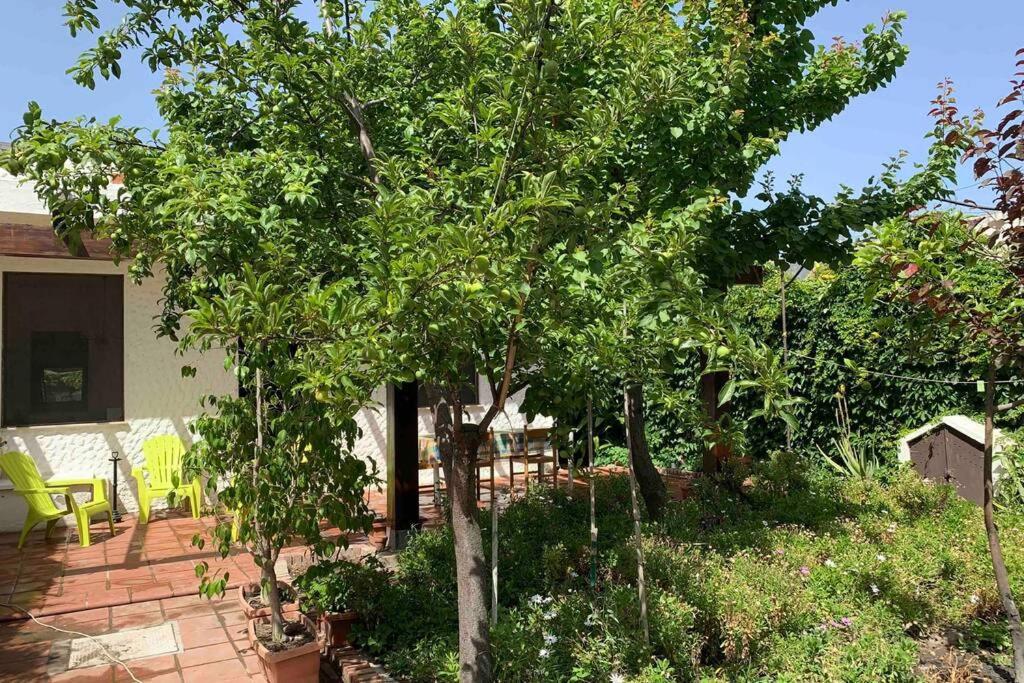 Villa Casa Tranquilla A Pochissimi Passi Dal Mare à Sant'Andrea  Extérieur photo