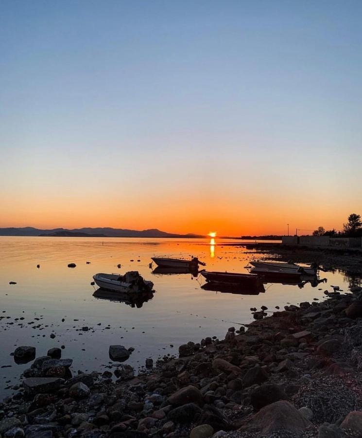 Villa Casa Tranquilla A Pochissimi Passi Dal Mare à Sant'Andrea  Extérieur photo