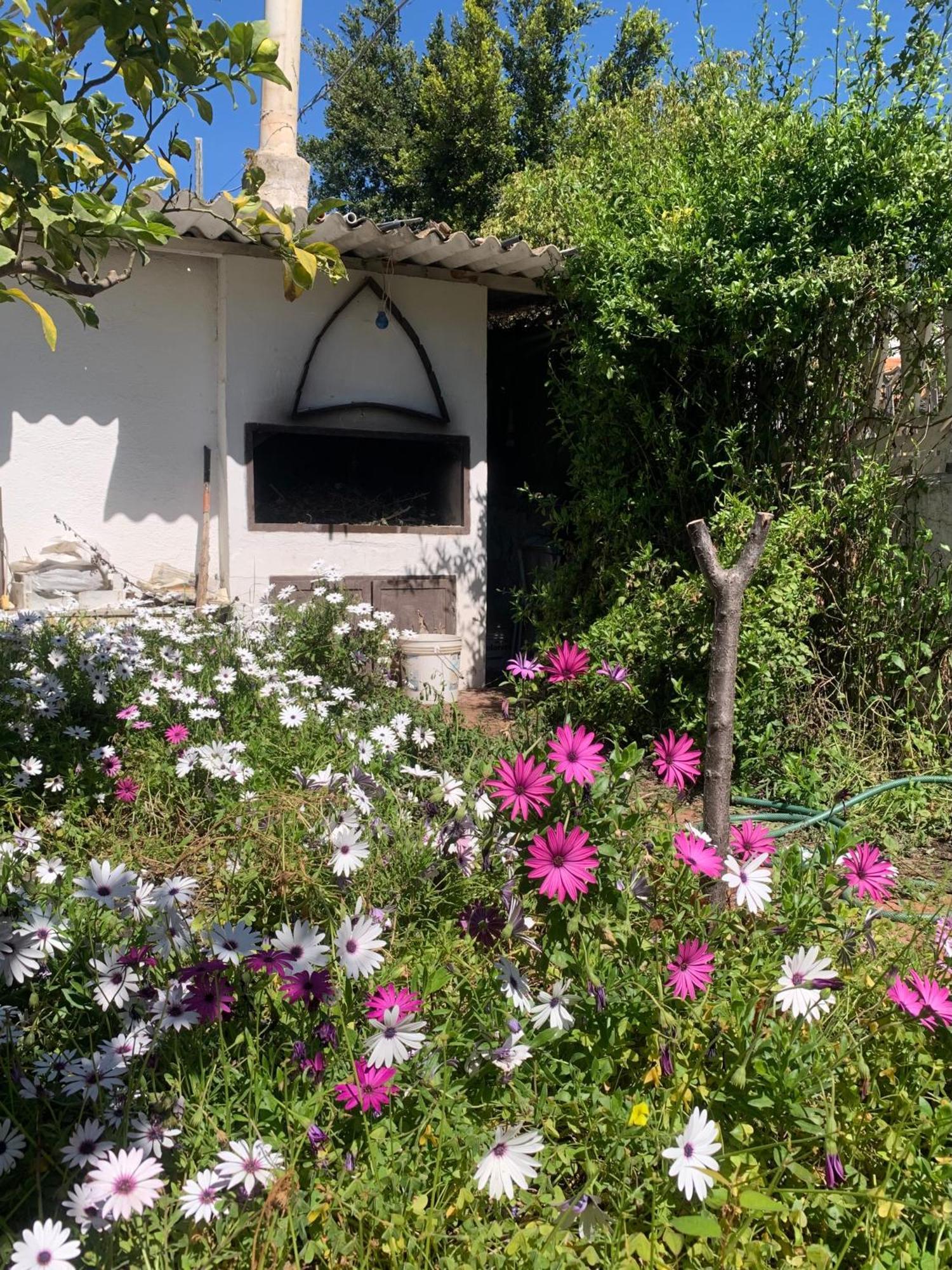 Villa Casa Tranquilla A Pochissimi Passi Dal Mare à Sant'Andrea  Extérieur photo